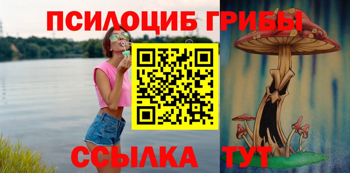 Галлюциногенные грибы прущие грибы  Галлюциногенные грибы Psilocybine cubensis  Вход с VPN  Вичуга 